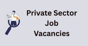 Private Sector Jobs