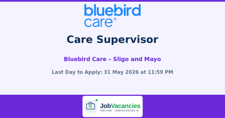 care supervisor violet 1779035809.png