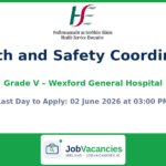 Grade V Health and Safety Coordinator – Wexford General Hospital