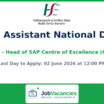 Interim Assistant National Director – Head of SAP Centre of Excellence (CoE)
