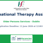 Occupational Therapy Assistant – Older Persons Services – Dublin