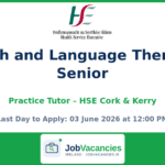 Speech and Language Therapist, Senior, Practice Tutor – Cork & Kerry