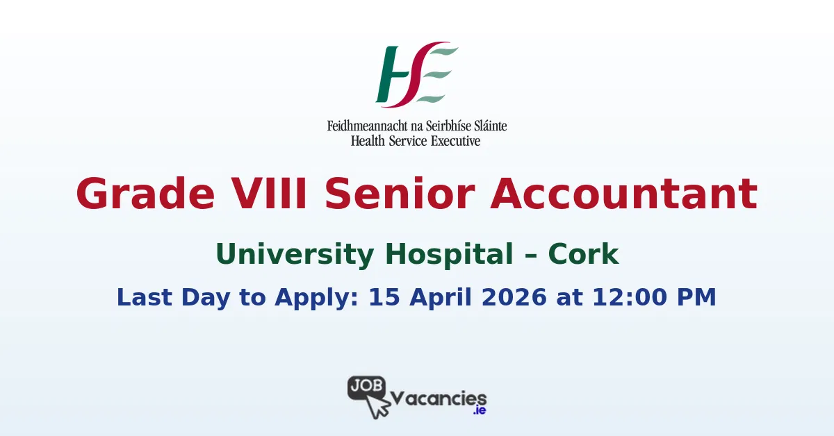 grade viii senior accountant 1774690150.png