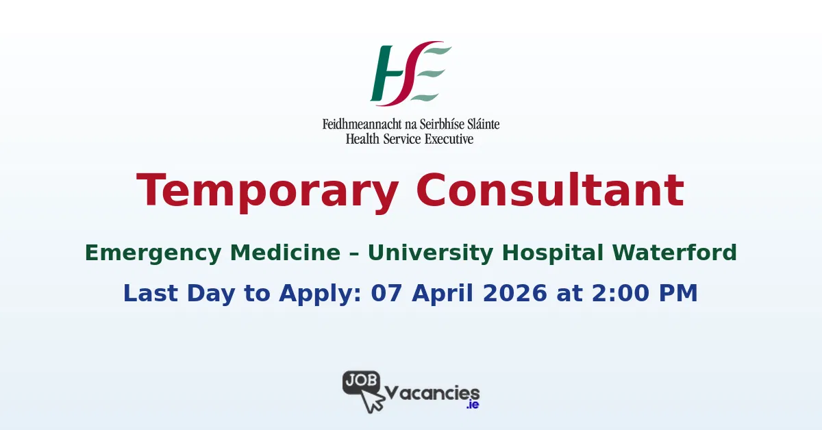 temporary consultant 1774305367.png