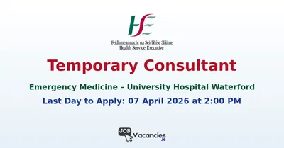 temporary consultant 1774305367.png